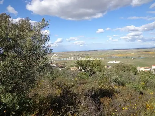 Terreni e lotti in vendita a Sierra de Fuentes, imagen 7