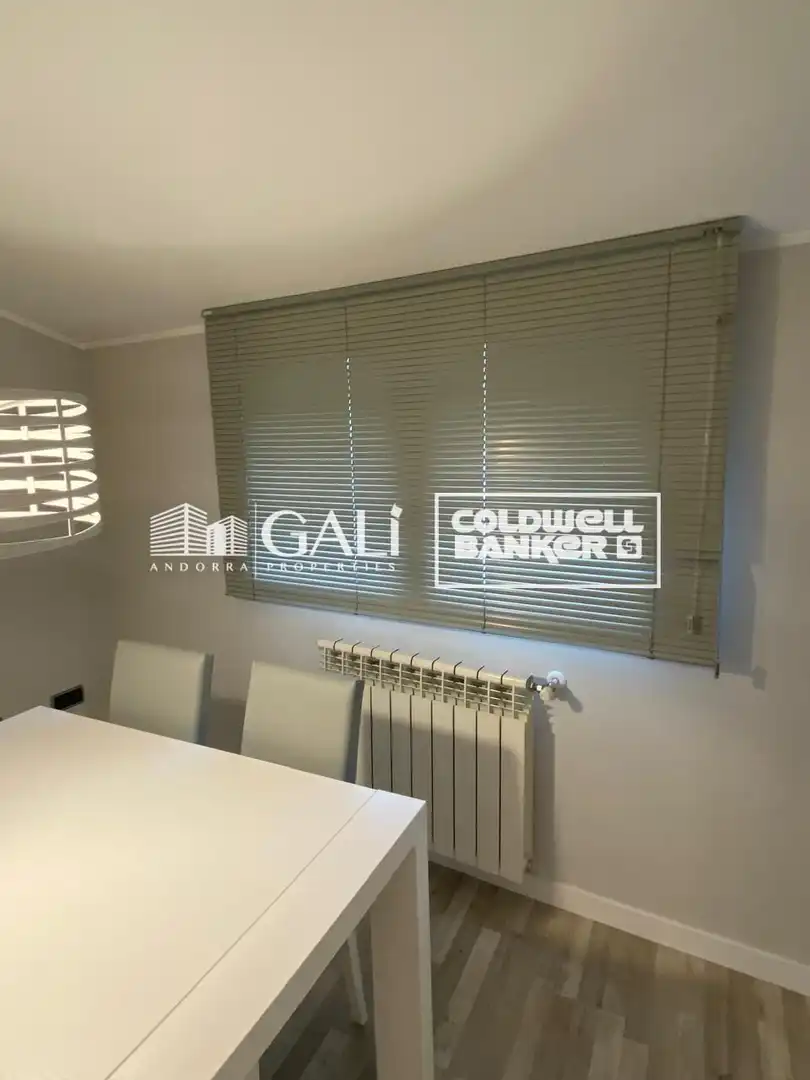 Penthouse mit Terrasse zur Miete in Encamp pueblo, imagen 3
