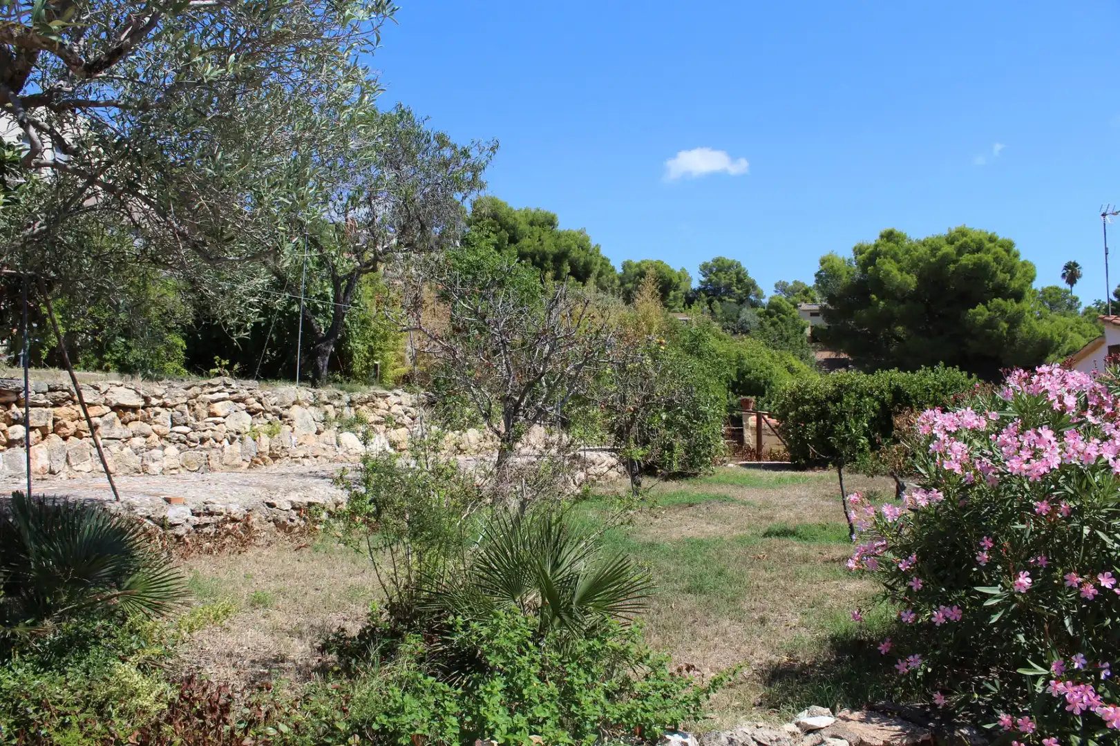 Jardín de Casa o chalet en venta en Vespella de Gaià con Jardín privado, Piscina y Amueblado