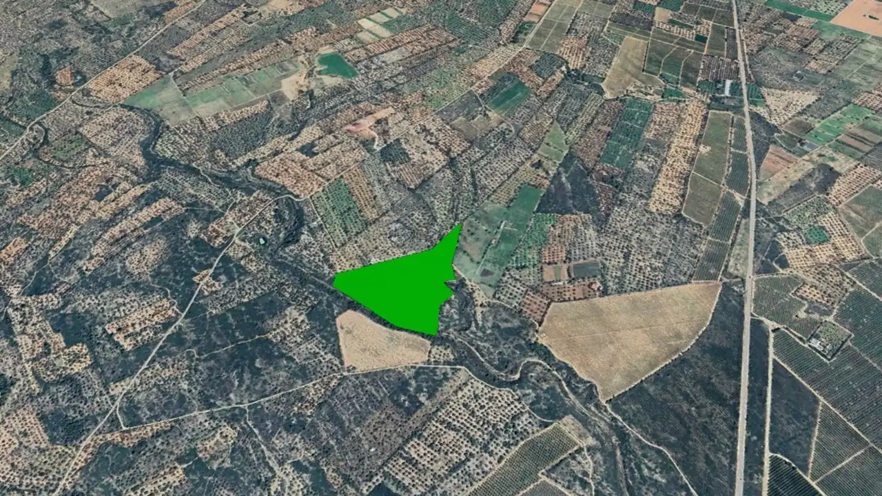 Terreny rústic en venda a Paraje Figuereta