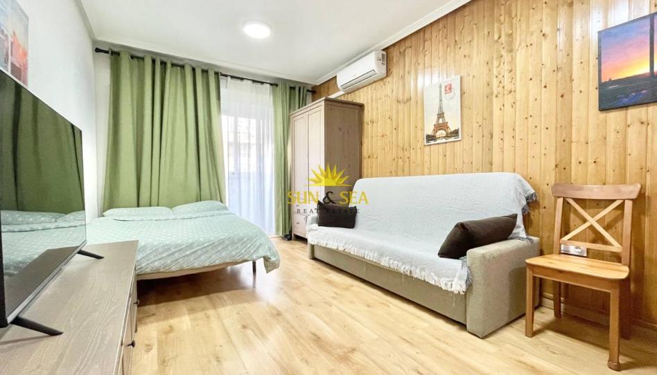 Foto 1 de Estudi de lloguer a Zona Playa de los Locos, Alicante