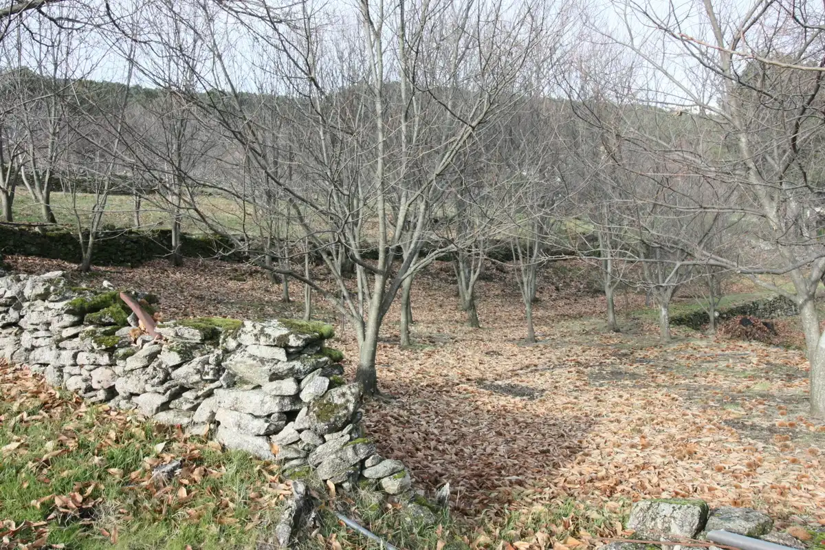 Country homes for sale in Guisando  with Heating, Private garden and Terrace