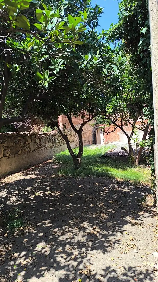 Garten von Residential zum Verkauf in Pineda de Mar