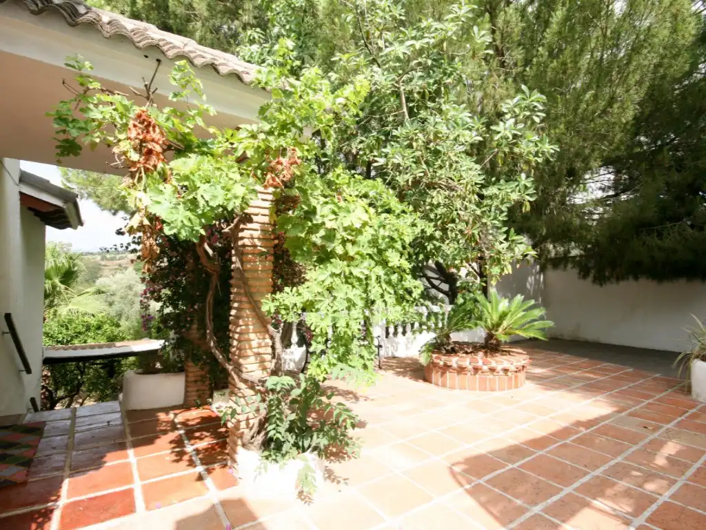Jardín de Finca rústica en venta en Alhaurín El Grande con Jardín privado, Terraza y Piscina