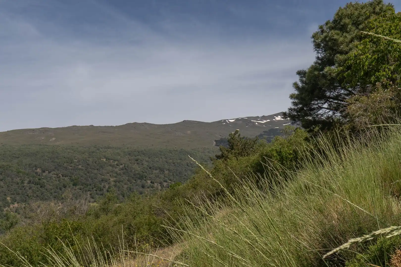 Terreno en venta en Soportújar