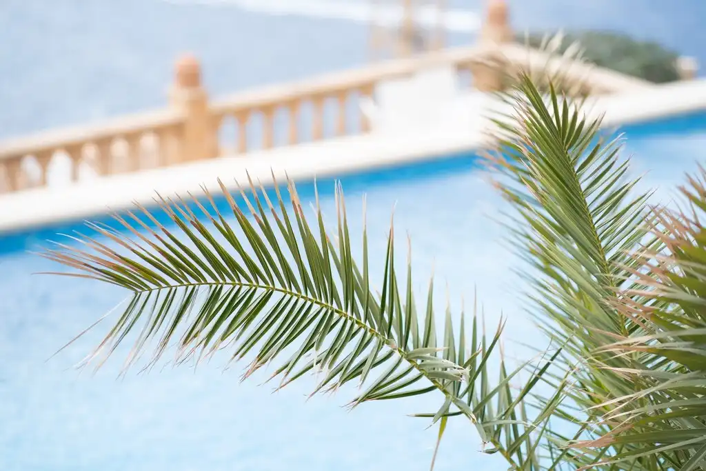 Apartament amb piscina en venda a Port d'Andratx, imagen 10