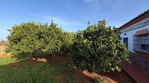Foto 4 de Casa o chalet en venta en Los Gallos, Chiclana de la Frontera