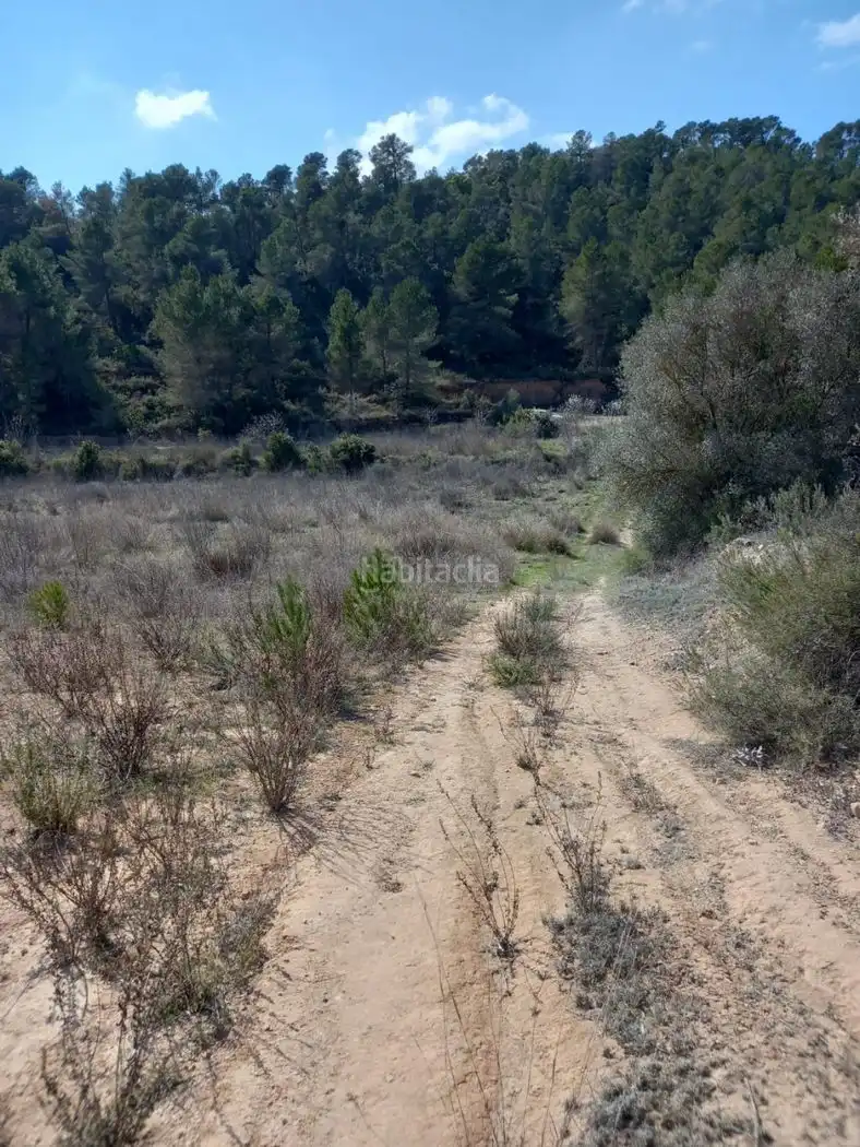 Rustikales Grundstück zum Verkauf in Carrer de l'Església 35, imagen 8