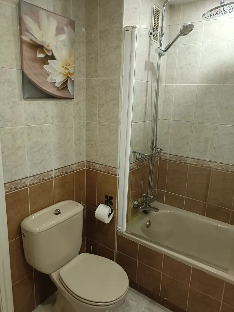 Flat with lift for sale in Calle HONORIO LOZANO, imagen 18