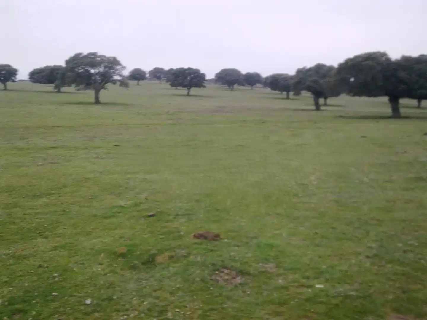 Land for sale in Vistahermosa