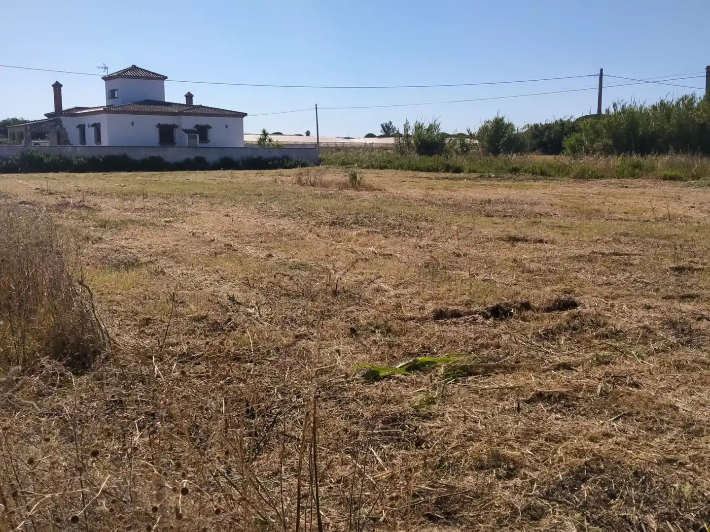 Land for sale in Conil de la Frontera