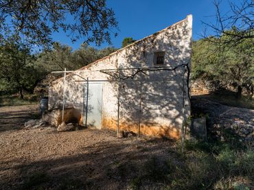 Terreno rústico en venta en Mas de Barberans