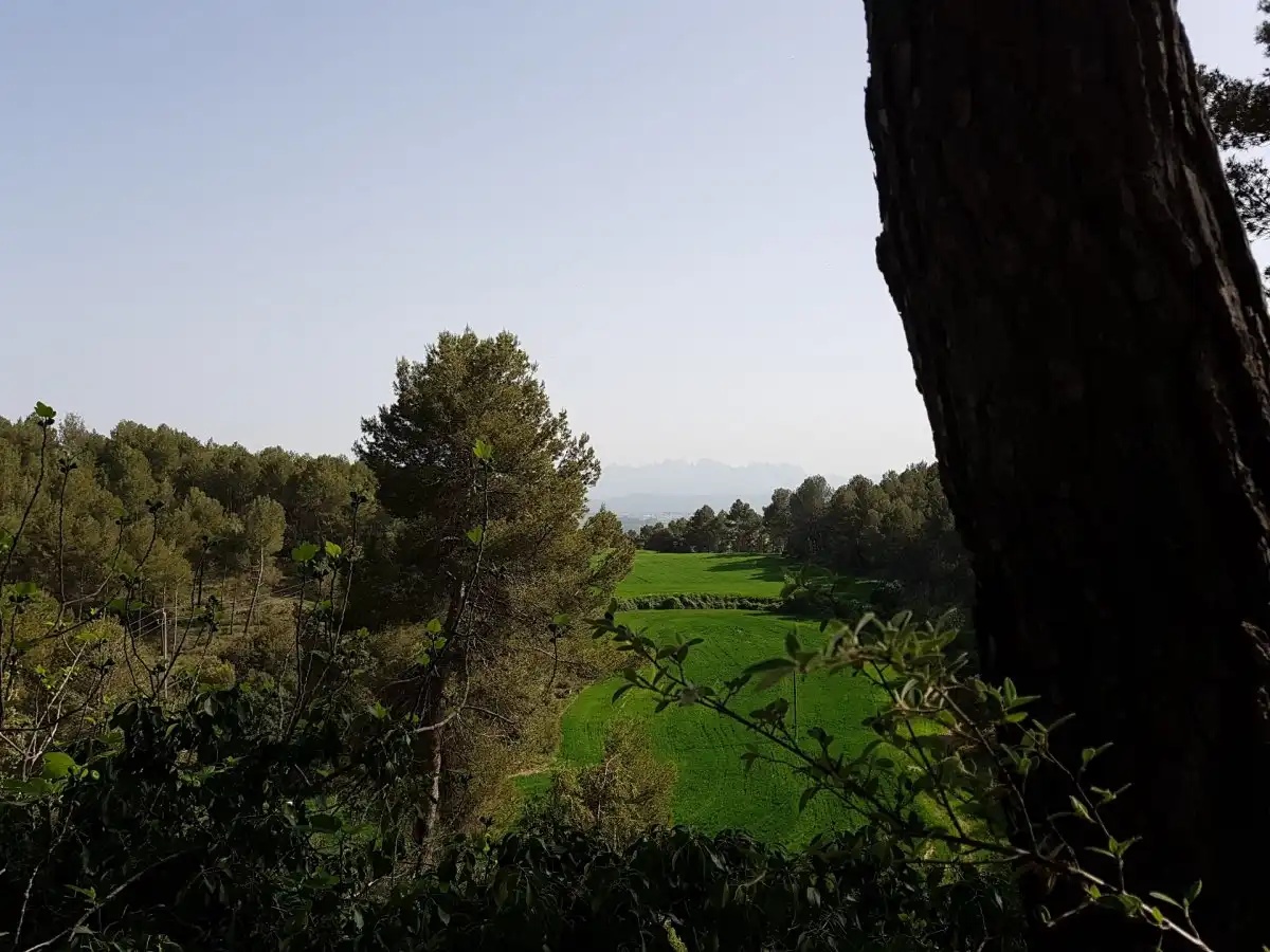 Terreny residencial en venda a Castellnou de Bages, imagen 7