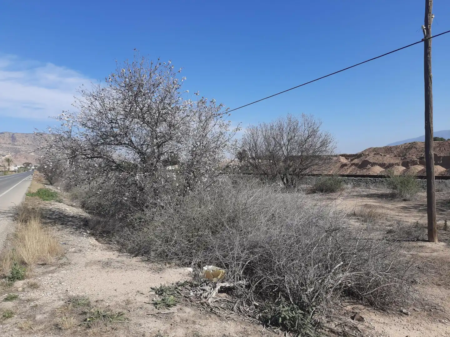 Terreni e lotti in vendita a Alhama de Murcia ciudad, imagen 3