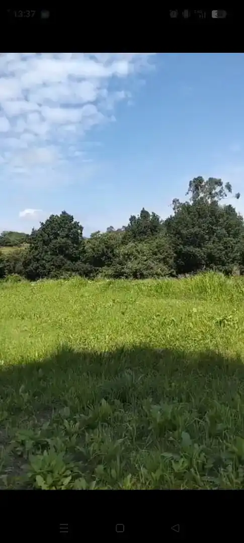 Finca rústica en venta en Valdáliga