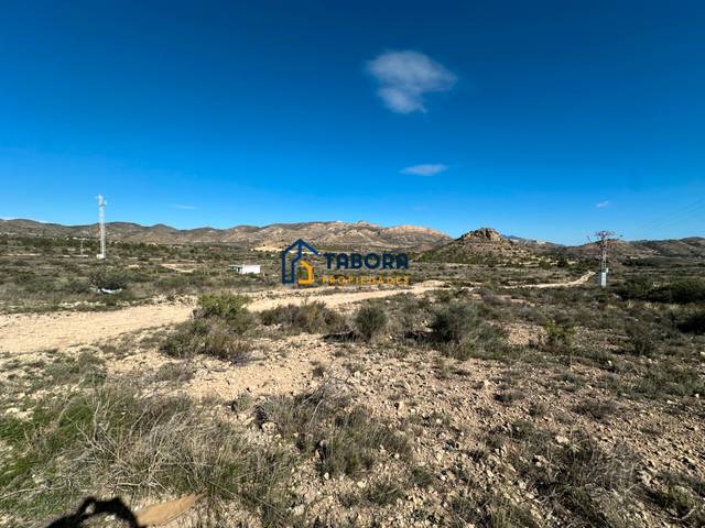 Terreno en Venta en Calle de La Morera, 11 en Moralet