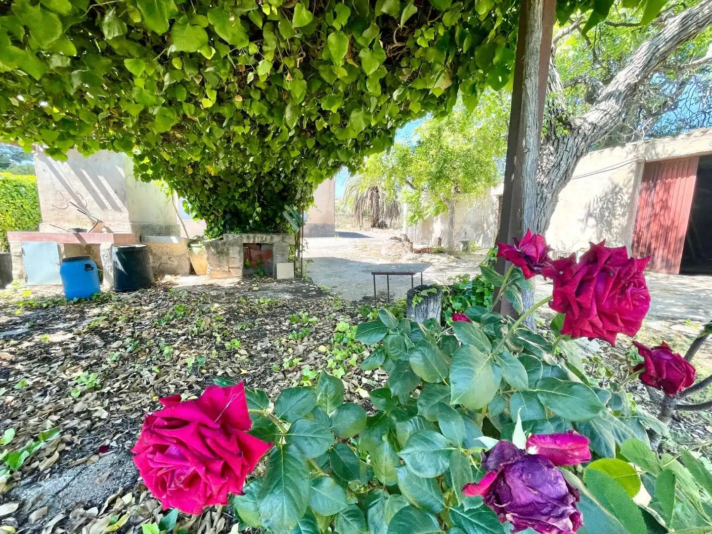 Casa in vendita a La Romana, imagen 5