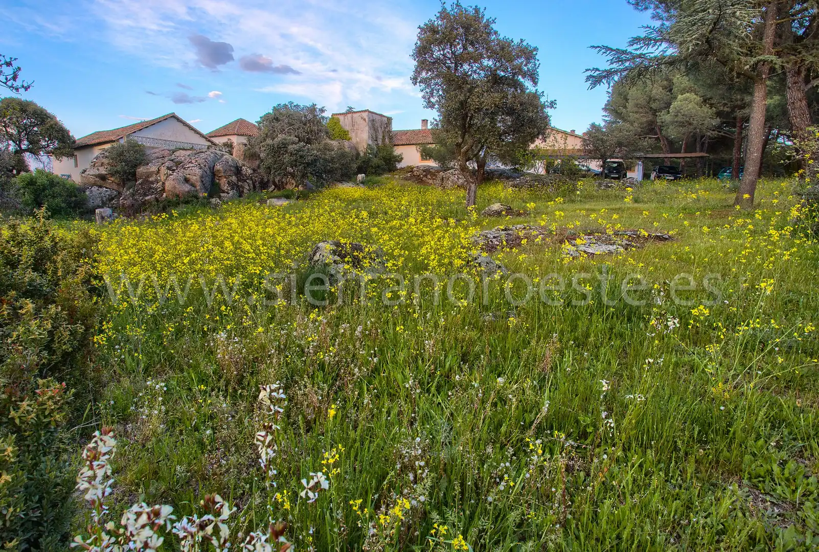 Casa o chalet en venta en Puerto de Galapagar - Las Cuestas