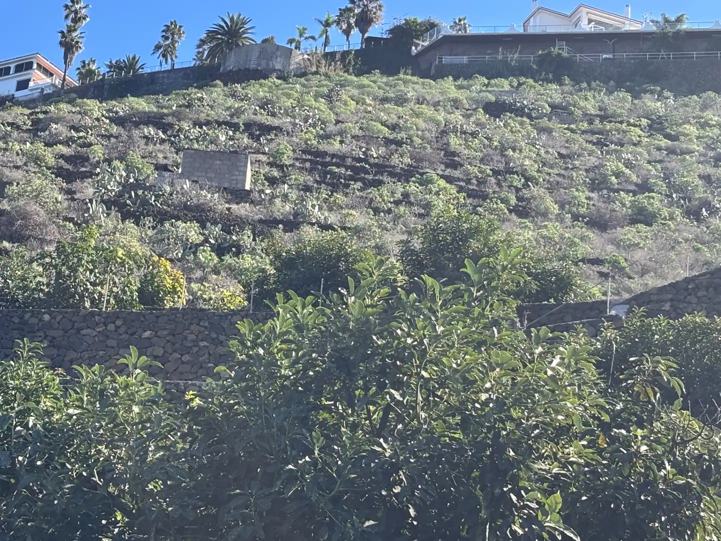 Terreno rustico in vendita a Camino de San Diego, imagen 5