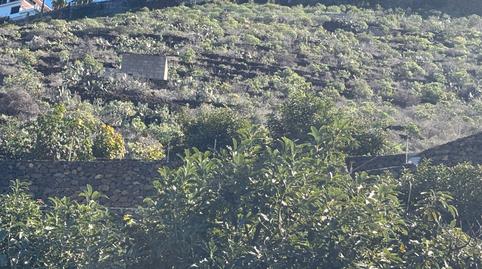 Photo 5 of Land for sale in Camino de San Diego, Las Cuevas - Los Gómez, Santa Cruz de Tenerife