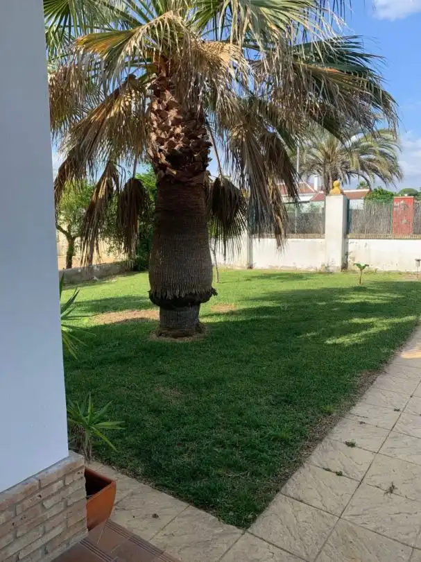 Jardí de Casa o xalet en venda en Hinojos amb Aire condicionat, Calefacció i Jardí privat