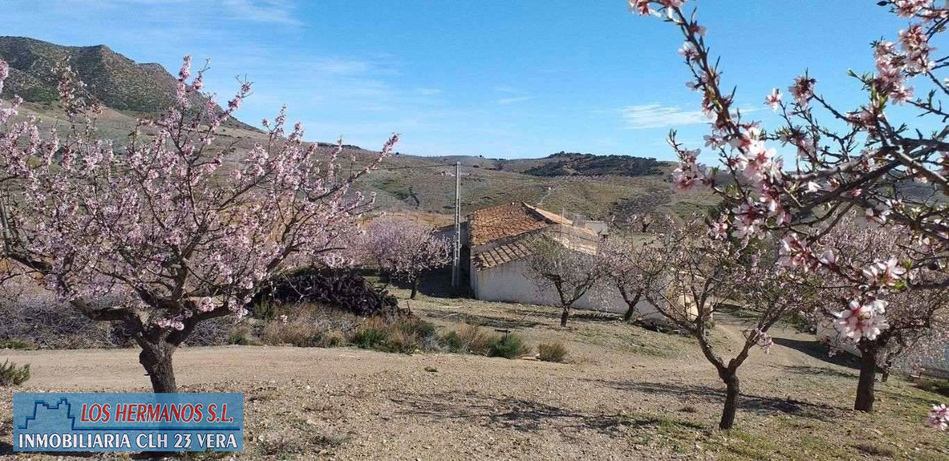 Finca rústica en venda en Vélez-Rubio