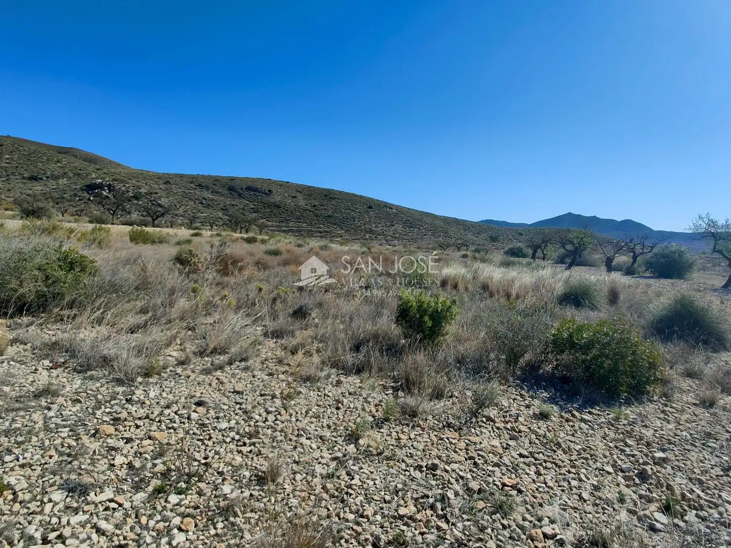 Terreno rustico in vendita a Hondón de los Frailes, imagen 6