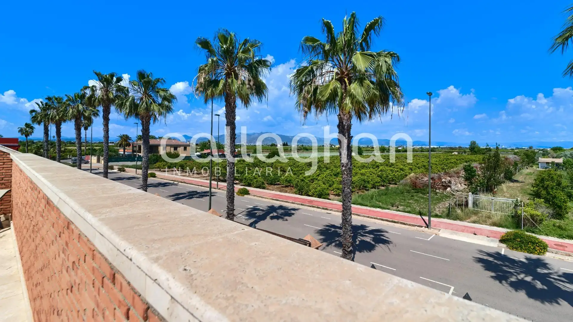 Vista exterior de Casa o xalet en venda en Burriana / Borriana amb Aire condicionat, Calefacció i Jardí privat
