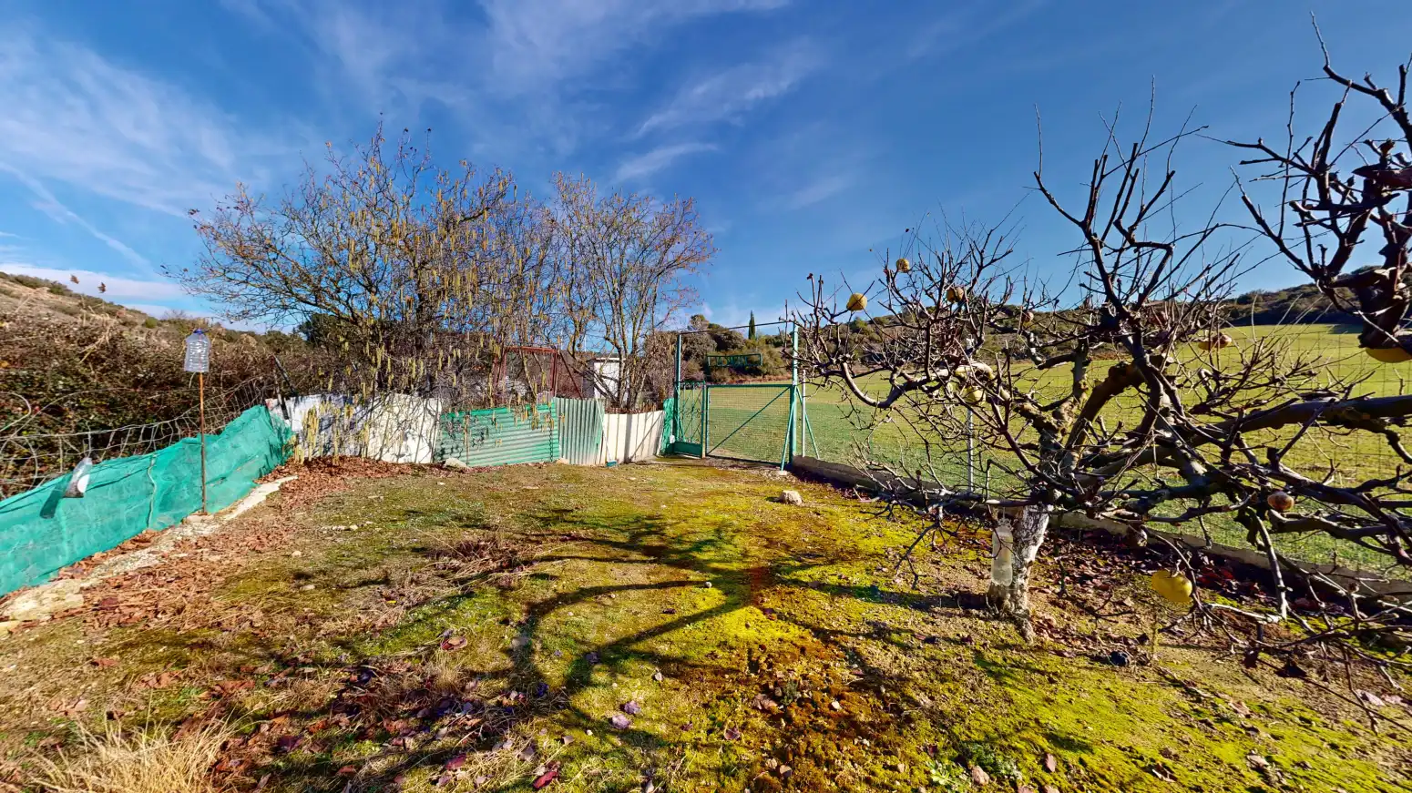Rural land for sale in Tafalla - TERMINO JUNCAL, imagen 11