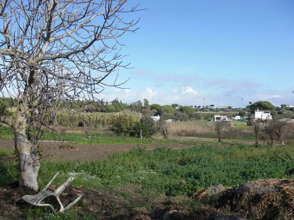 Casa rústica en venda a Barbate ciudad, imagen 2
