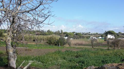 Foto 2 de Finca rústica en venda a Barbate ciudad, Cádiz