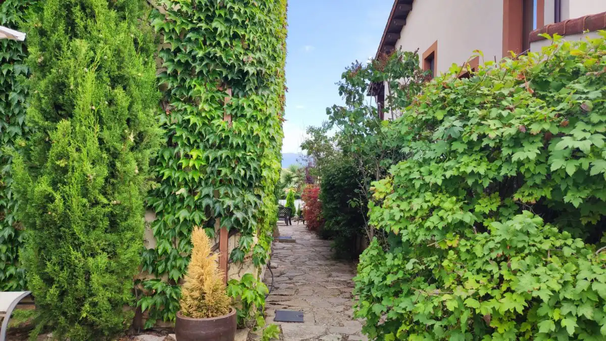 Xalet en venda a La Lastrilla, imagen 15