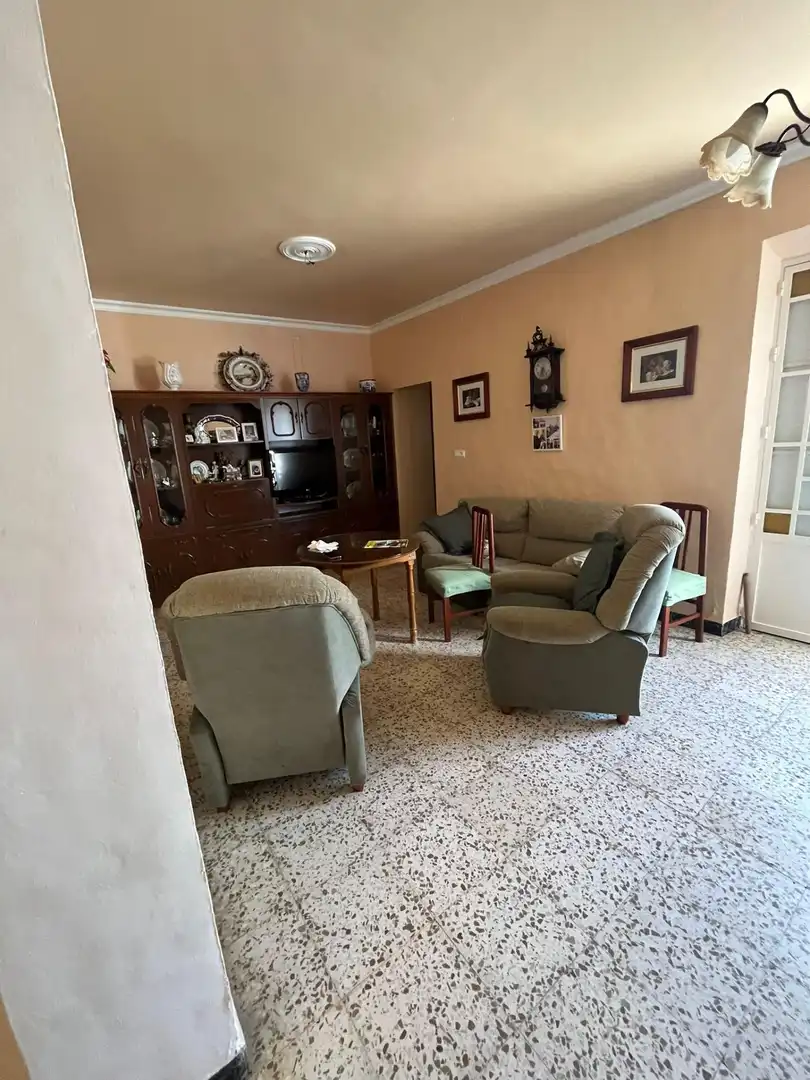 Sala de estar de Casa o chalet en venta en Manzanilla con Jardín privado y Trastero