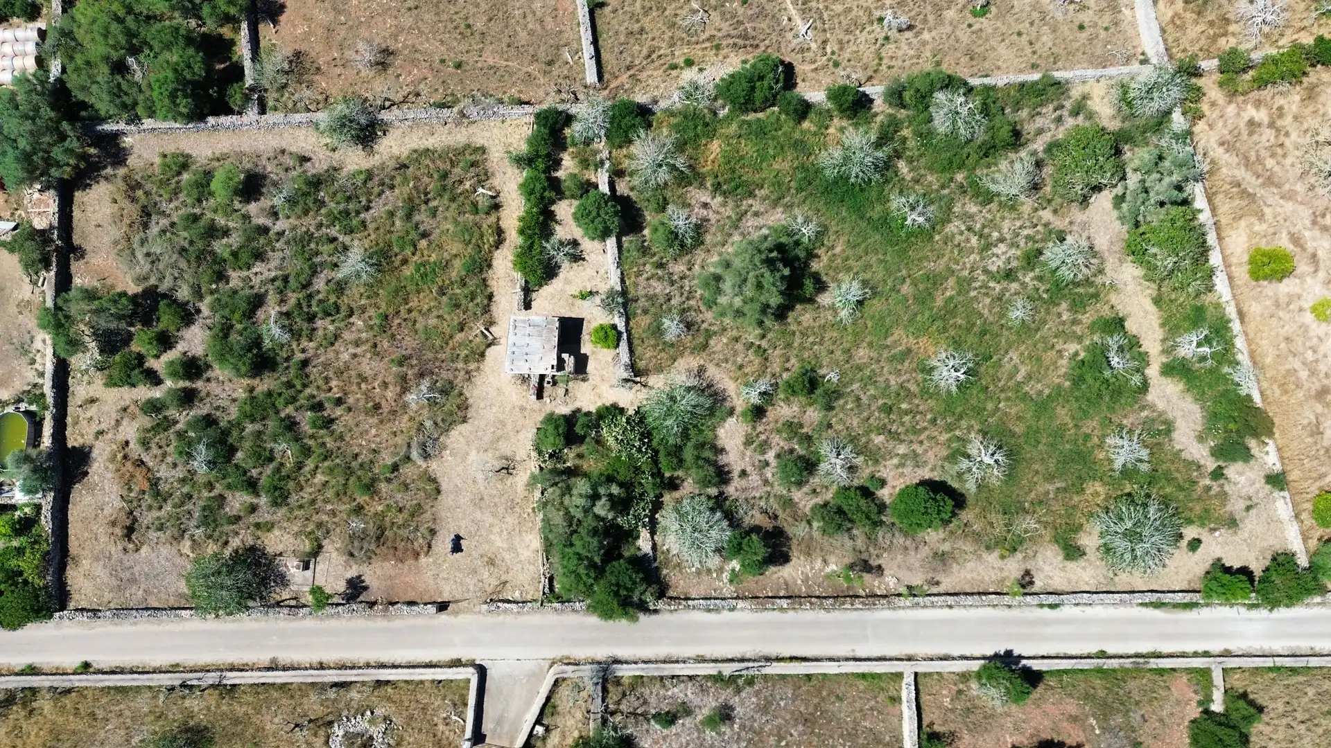 Rustikales Grundstück zum Verkauf in Santa Margalida Poble, imagen 2