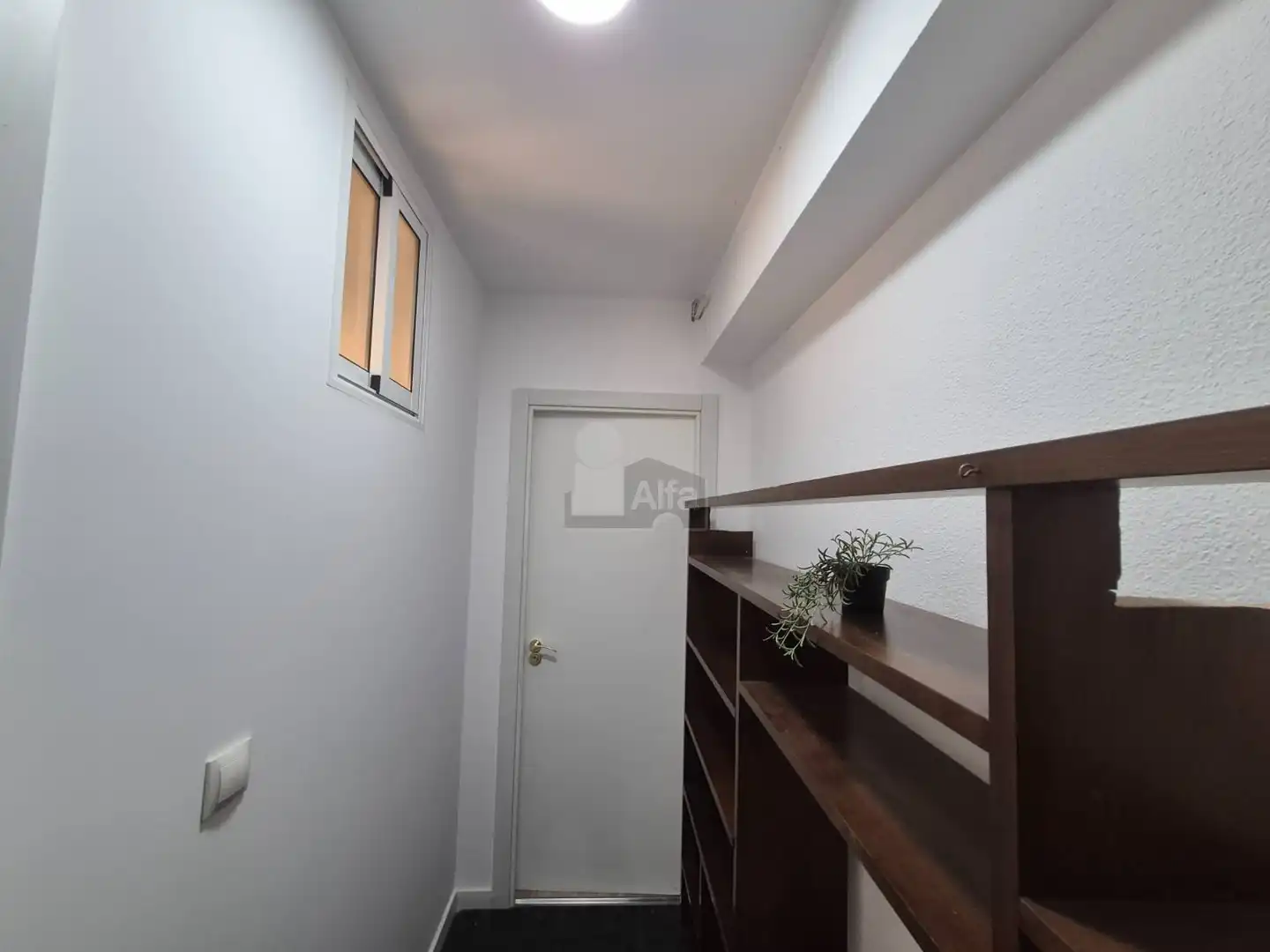 Flat with terrace to rent in Plaza Profesor Tamarit Olmos 16, imagen 33