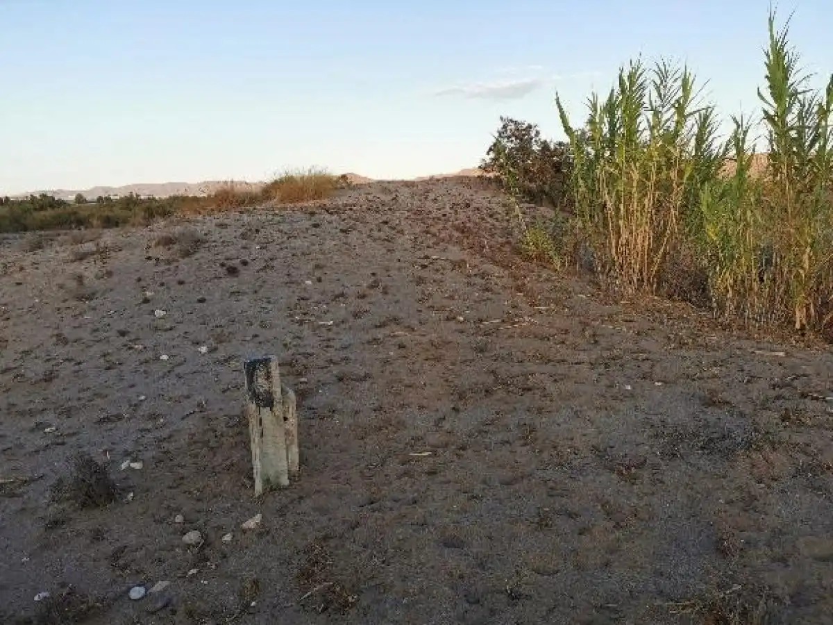 Terreno rustico in vendita a Camino LOS HUERTOS, imagen 53
