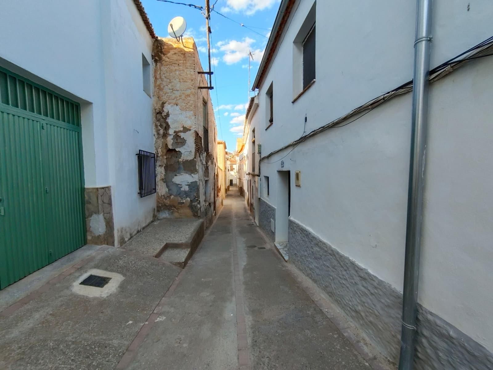 Exterior view of Country house for sale in Guadix  with Private garden and Terrace