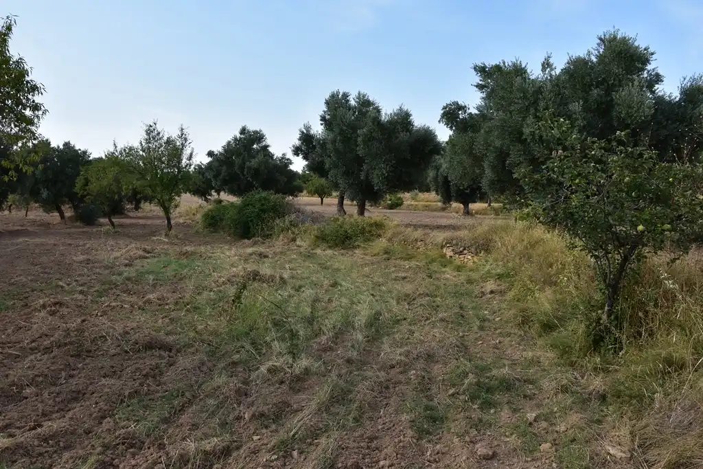 Terreni e lotti in vendita a La Fresneda, imagen 5