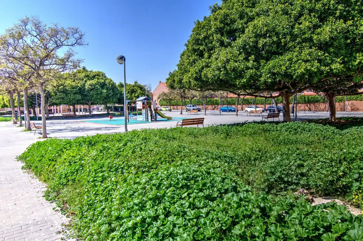 Swimming pool of Ground floor for sale in Alicante / Alacant  with Heating, Terrace and Storage room