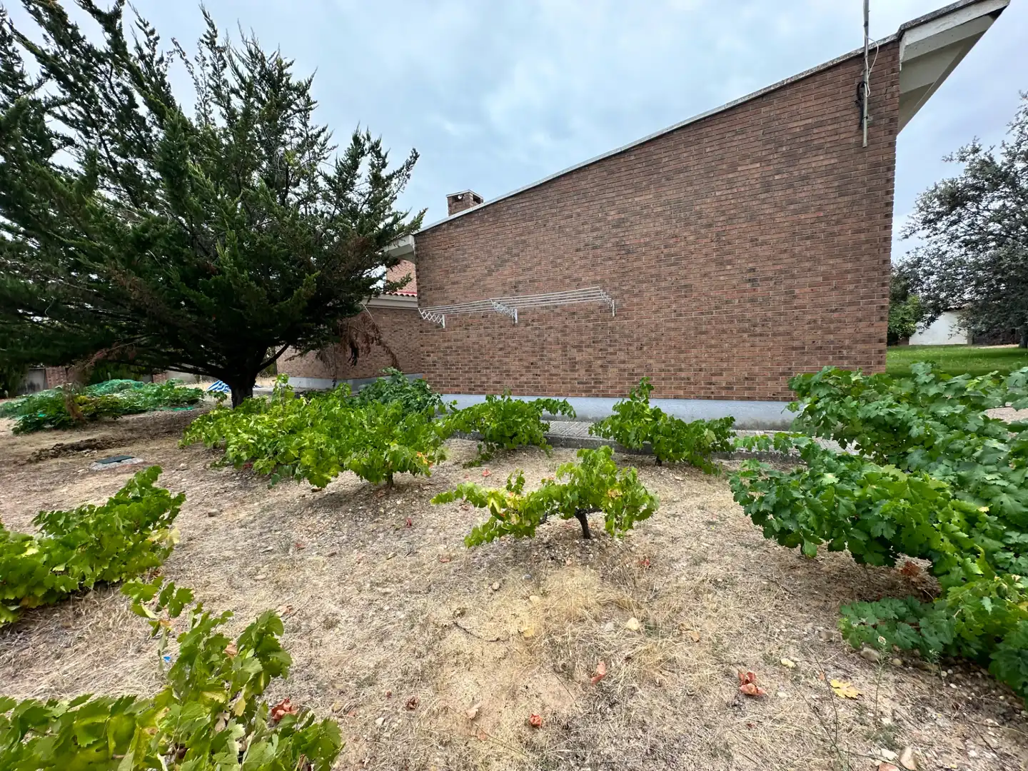 Villa con giardino in vendita a Calle Viñas, imagen 61