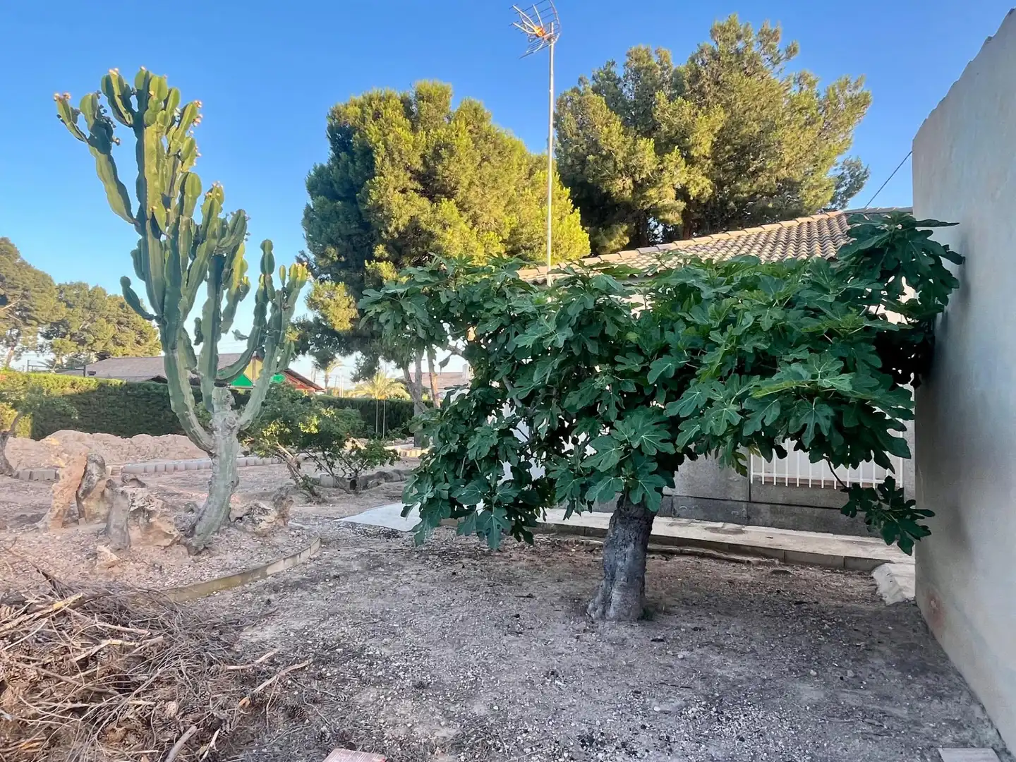 Villa à vendre à Jubalcoi, imagen 13