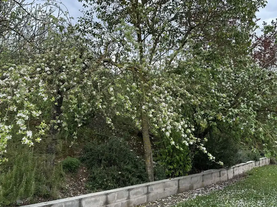Jardín de Piso en venta en Tricio, La Rioja