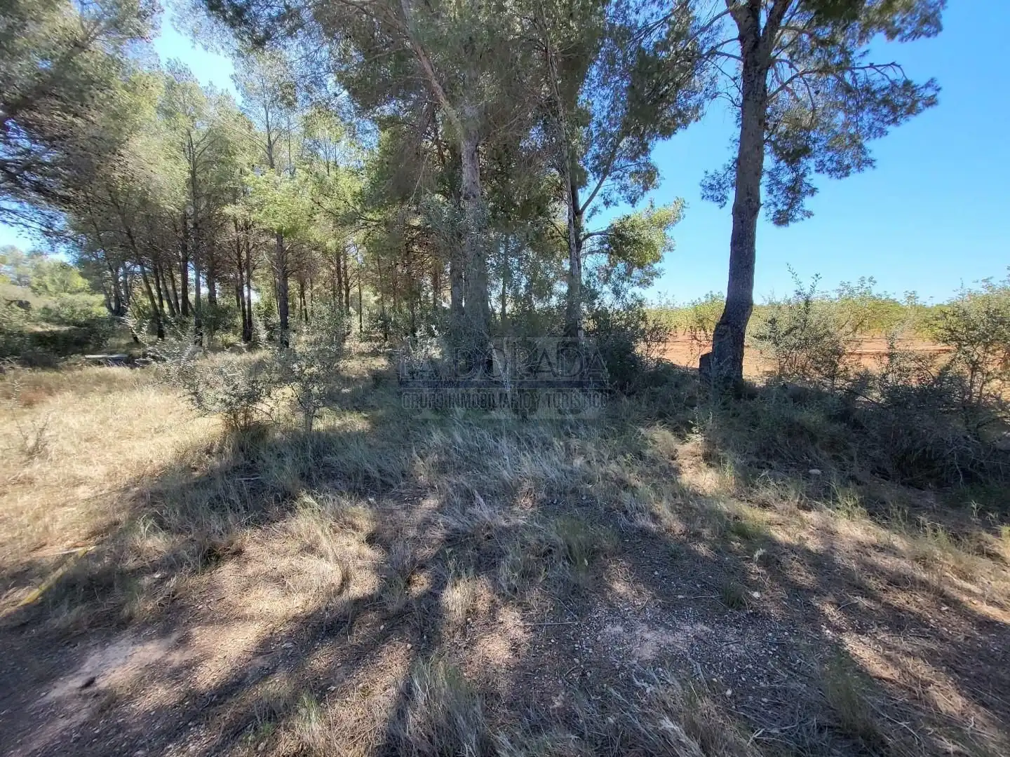 Terreny residencial en venda a Poble, imagen 2