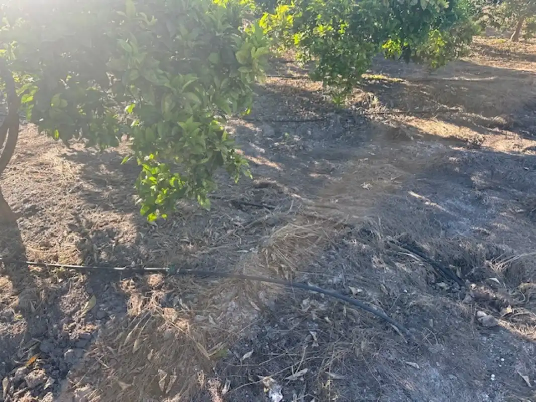 Terreno en venta en Xeresa