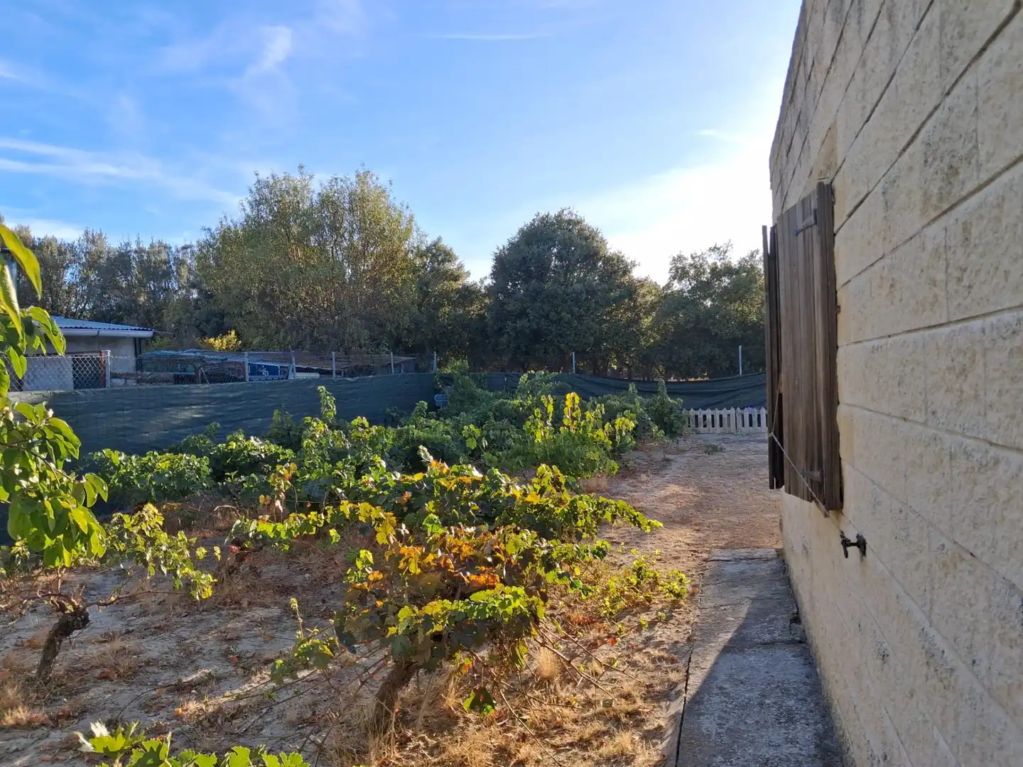 Terreny residencial en venda a Carretera de la Parrilla 14, imagen 4