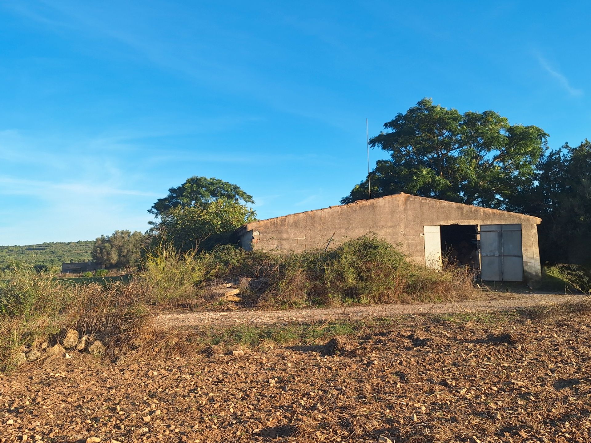 Nau industrial en venda en Manacor