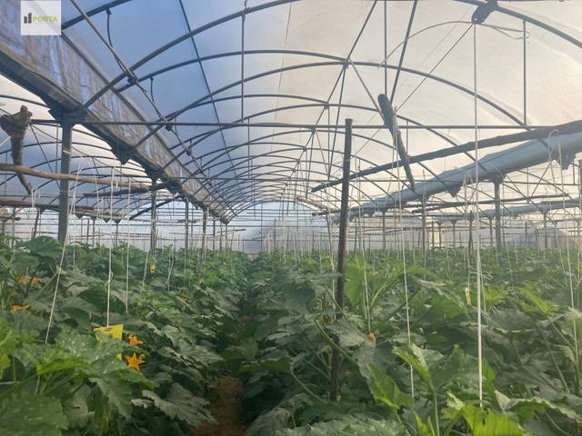 Terreno residencial en Venta en Las Palmeras - Dehesilla