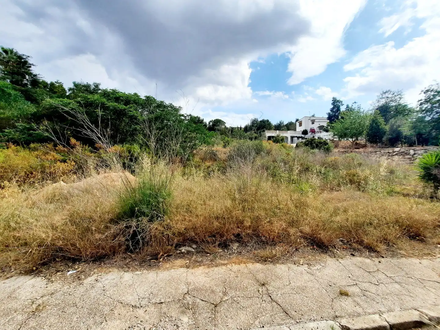Terreny residencial en venda a Alberic, imagen 4