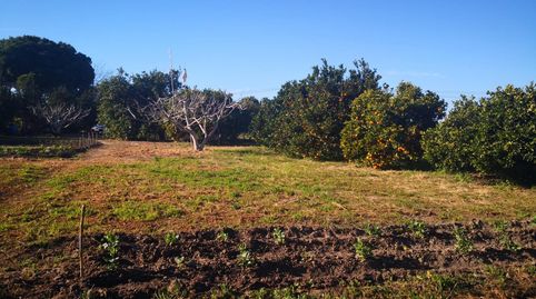 Parcela Rustica Segregada en la Rivera de la Oliva, imatge 4