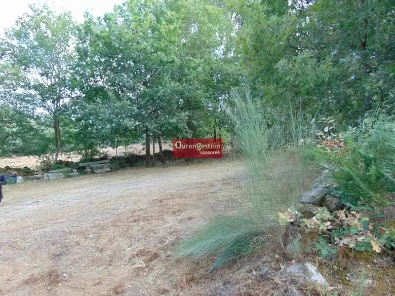 Terreni e lotti in vendita a Amoeiro, imagen 4